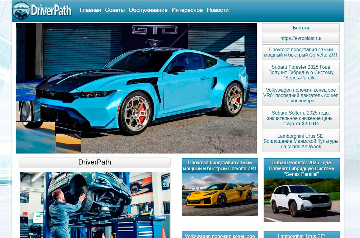 driver-path.ru
